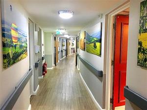 Wall graphics